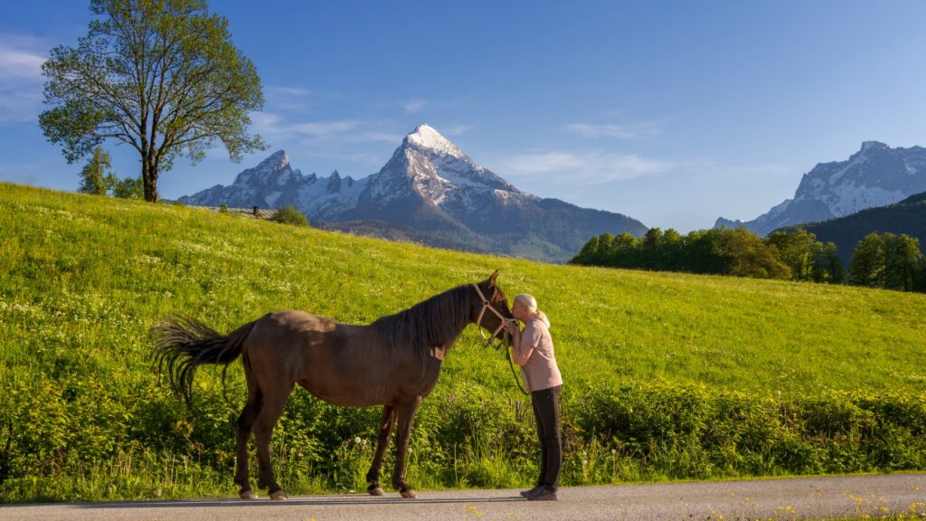 young woman kisses her horse in beautiful landscape in the alps with picture id1397559338